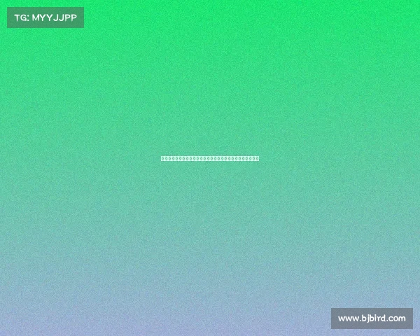 足球俱乐部引援策略分析如何通过精准引援提升球队整体竞争力